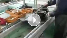 辰力手拉葫蘆車間，手拉葫蘆流水作業(yè)中